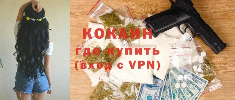 blacksprut онион  продажа наркотиков  Канаш  COCAIN Fish Scale 